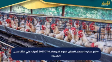 «خبر سار» أسعار البيض اليوم الأربعاء 16 7 2025 تعرف على التفاصيل الجديدة